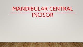 MANDIBULAR CENTRAL
INCISOR
 