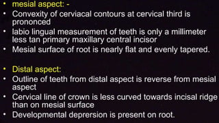 morphology of teeth.2.pptx