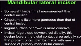 morphology of teeth.2.pptx