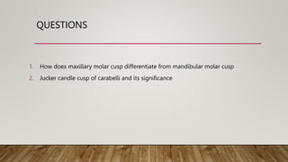 QUESTIONS
1. How does maxillary molar cusp differentiate from mandibular molar cusp
2. Jucker candle cusp of carabelli and its significance
 