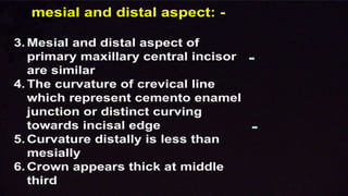 morphology of teeth.2.pptx