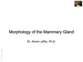 Morphology of the Mammary Gland

                             Dr. Akram Jaffar, Ph.D.
© Dr. Akram Jaffar




                                                       © Dr. Akram Jaffar
 
