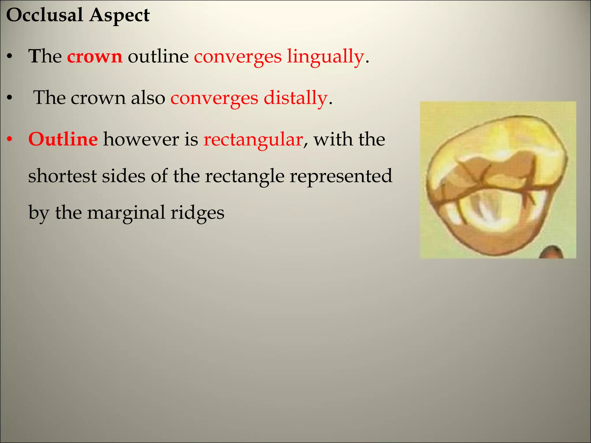 Morphology of tooth | PPT