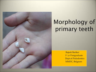 Morphology of
primary teeth


   Rajesh Bariker
   1st yr Postgraduate
   Dept of Pedodontics
   MMDC, Belgaum
 