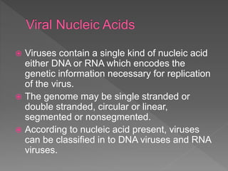  Viruses contain a single kind of nucleic acid
either DNA or RNA which encodes the
genetic information necessary for replication
of the virus.
 The genome may be single stranded or
double stranded, circular or linear,
segmented or nonsegmented.
 According to nucleic acid present, viruses
can be classified in to DNA viruses and RNA
viruses.
 