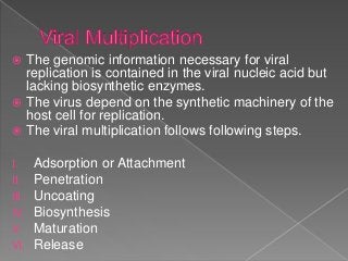  The genomic information necessary for viral
replication is contained in the viral nucleic acid but
lacking biosynthetic enzymes.
 The virus depend on the synthetic machinery of the
host cell for replication.
 The viral multiplication follows following steps.
I. Adsorption or Attachment
II. Penetration
III. Uncoating
IV. Biosynthesis
V. Maturation
VI. Release
 