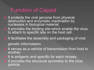  It protects the viral genome from physical
destruction and enzymatic inactivation by
nucleases in biological material.
 It provides the binding site which enable the virus
to attach to specific site on the host cell.
 It facilitates the assembly and packaging of viral
genetic informataion.
 It serves as a vehicle of transmission from host to
another.
 It is antigenic and specific for each viruses
 It provides the structural symmetry to the virus
particle.
 