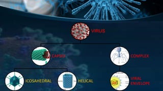 Morphology of virus | PPTX