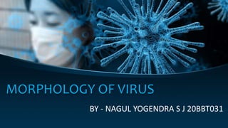 MORPHOLOGY OF VIRUS
BY - NAGUL YOGENDRA S J 20BBT031
 