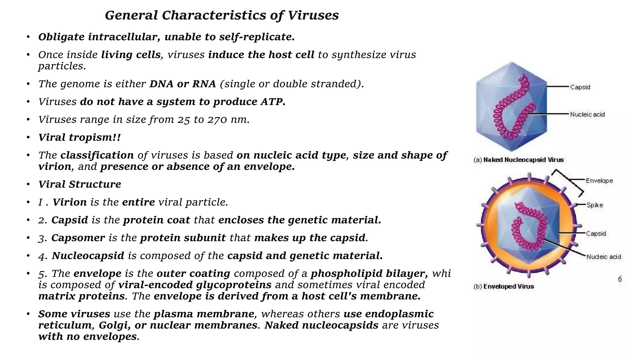 General characteristics of viruses pptx