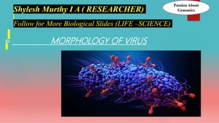  MORPHOLOGY OF VIRUS
Follow for More Biological Slides (LIFE –SCIENCE)
Shylesh Murthy I A ( RESEARCHER)
Passion About
Genomics
 