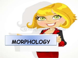 MORPHOLOGY
 