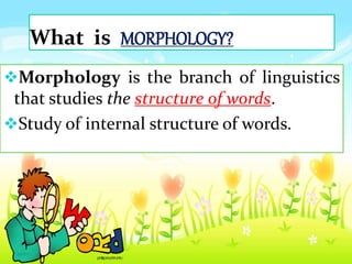 What is MORPHOLOGY?
Morphology is the branch of linguistics
that studies the structure of words.
Study of internal structure of words.
 