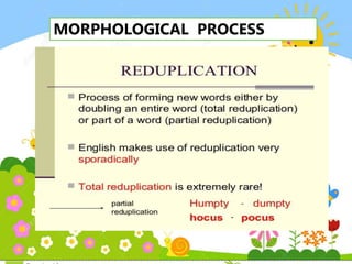 MORPHOLOGICAL PROCESS
 