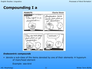 Morphology Presentation | PPT