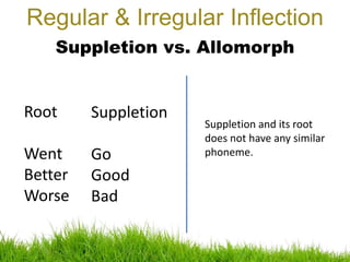 Regular & Irregular Inflection
Suppletion vs. Allomorph
Root
Went
Better
Worse
Suppletion
Go
Good
Bad
Suppletion and its root
does not have any similar
phoneme.
 