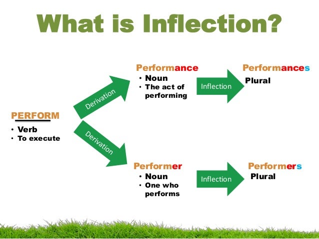 Inflection in Morphology (Linguistics)