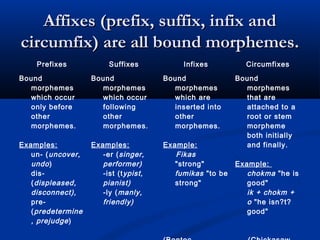 Morphology | PPT