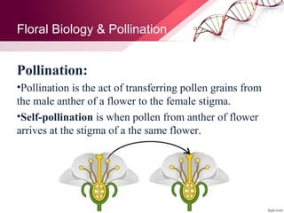 Morphology & Reproductive system of Plants | PPS
