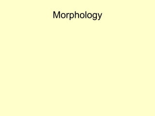 Morphology

 