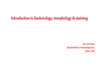 Introduction to bacteriology, morphology & staining
DR ADILRAZA
DEPARTMENTOF MICROBIOLOGY,
JNMC.AMU
 