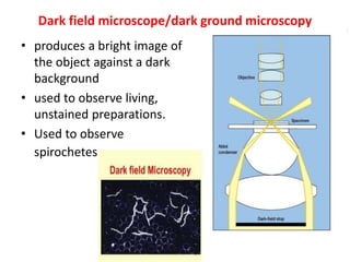 • produces a bright image of
the object against a dark
background
• used to observe living,
unstained preparations.
• Used to observe
spirochetes.
Dark field microscope/dark ground microscopy
 