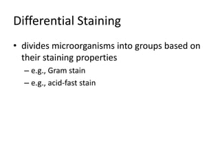Differential Staining
• divides microorganisms into groups based on
their staining properties
– e.g., Gram stain
– e.g., acid-fast stain
 