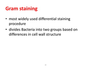 18
Gram staining
• most widely used differential staining
procedure
• divides Bacteria into two groups based on
differences in cell wall structure
 