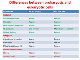Differences between prokaryotic and
eukaryotic cells
CHARACTER PROKARYOTES EUKARYOTES
NUCLEUS
Nuclear membrane Absent Present
Nucleolus Absent Present
Deoxyribonucleoprotein Absent Present
Chromosome One circular More than one ( linear)
Mitotic division Absent Present
Cytoplasm
Cytoplasmic streaming Absent Present
Pinocytosis Absent Present
Mitocho, golgi App, ER Absent Present
Chemical composition
Sterols Absent Present
Muramic acid Present Absent
 
