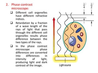 2. Phase contrast
microscope:
 Different cell orgenelles
have different refractive
indices.
 Retardation by a fraction
of a wave length of the
rays of light that pass
through the different cell
orgenelles results phase
difference between the
two types of the rays.
 In the phase contrast
microscope phase
differences are converted
into differences in
intensity of light,
producing light and dark
contrast of the image.


2
Light source


4
 