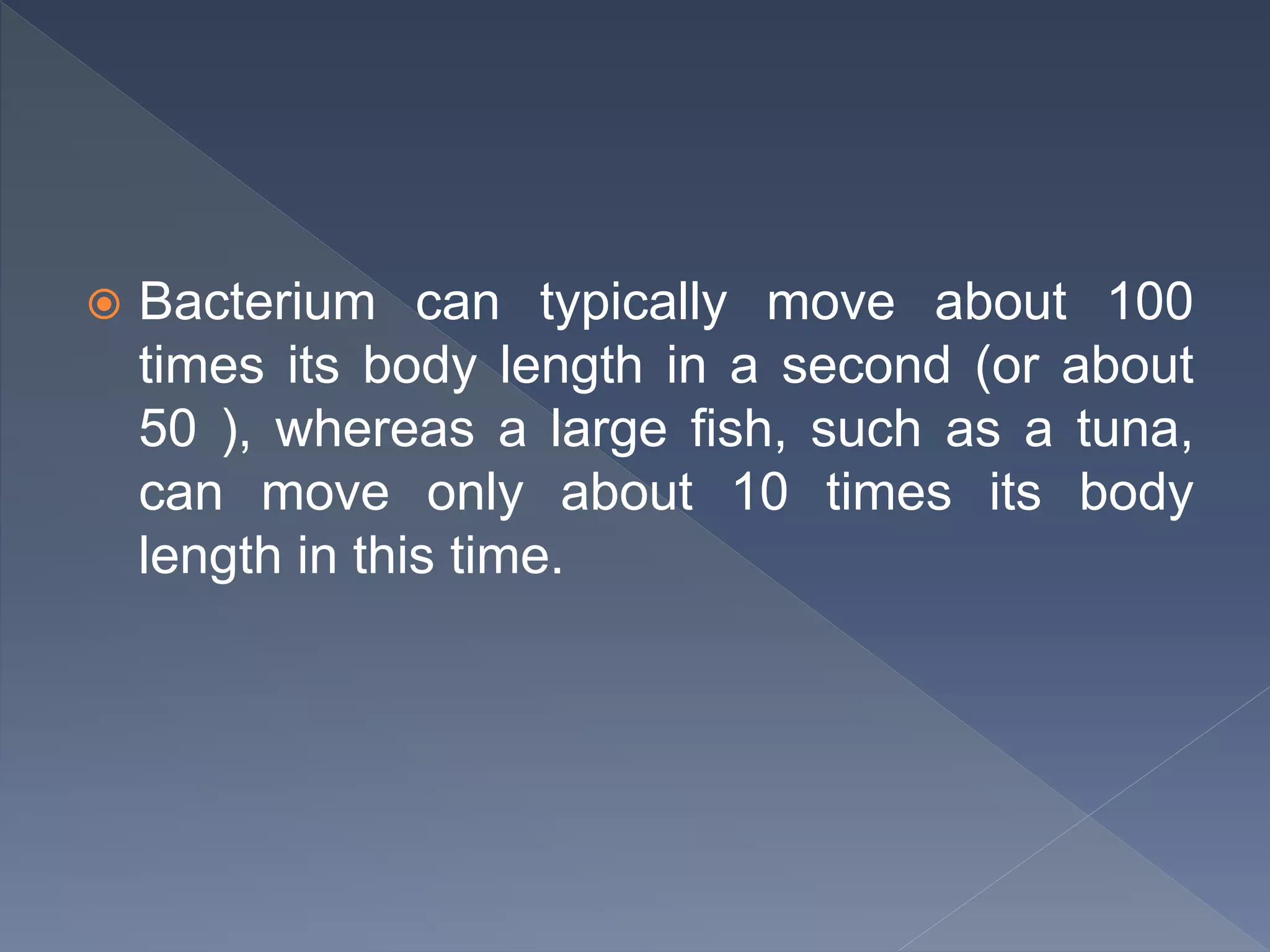  Bacterium can typically move about 100
times its body length in a second (or about
50 ), whereas a large fish, such as a tuna,
can move only about 10 times its body
length in this time.
 