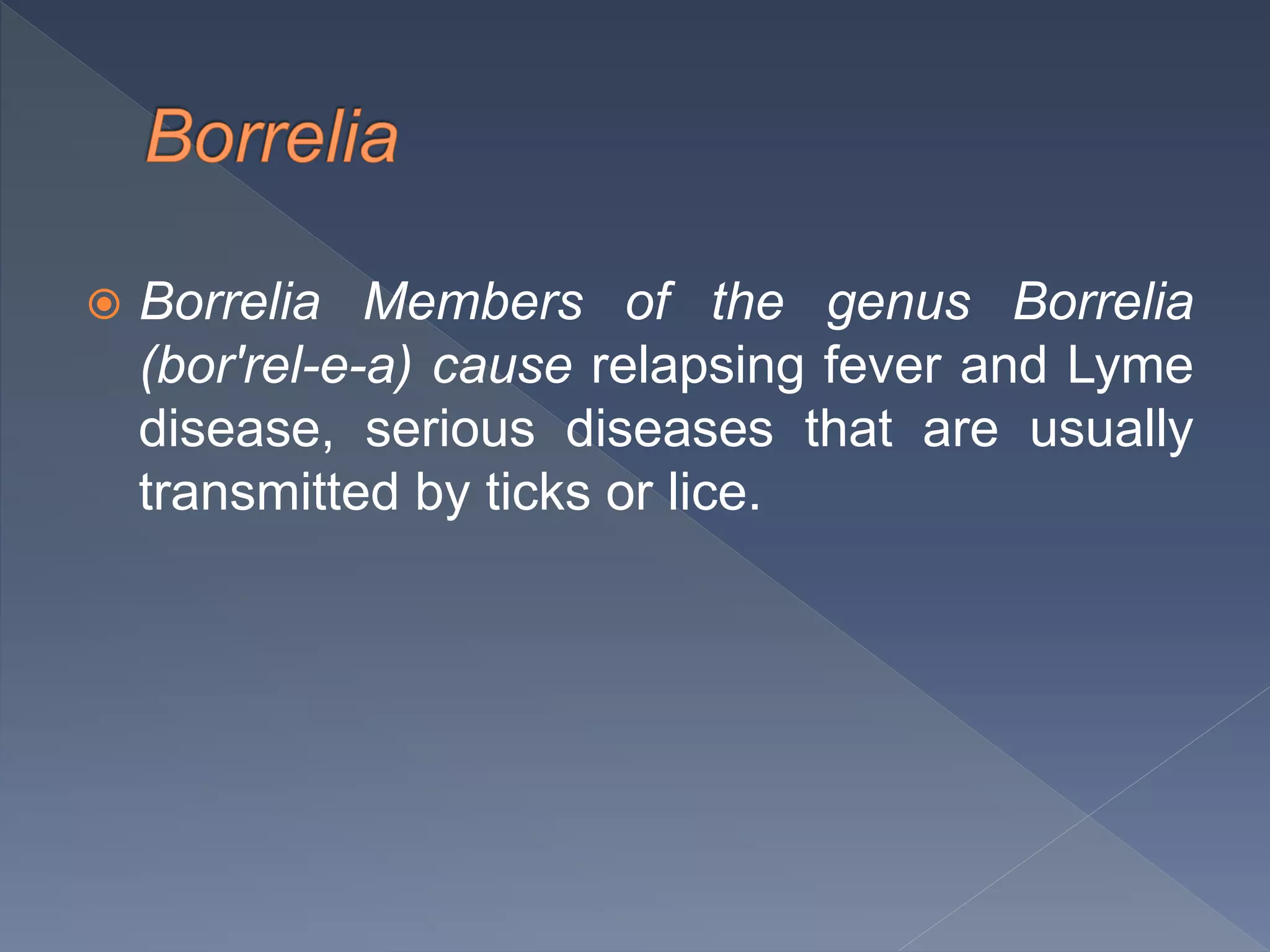  Borrelia Members of the genus Borrelia
(bor'rel-e-a) cause relapsing fever and Lyme
disease, serious diseases that are usually
transmitted by ticks or lice.
 