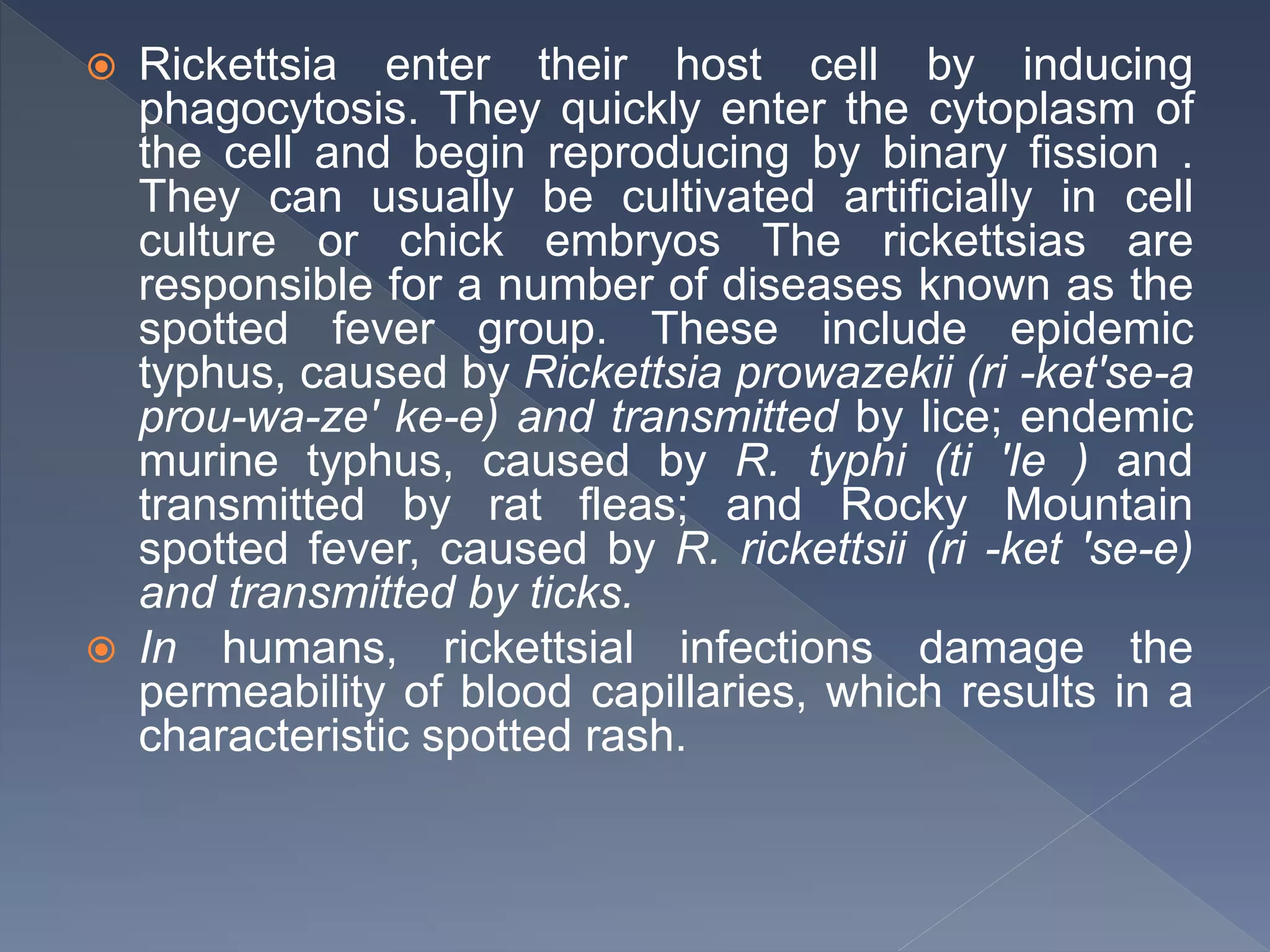  Rickettsia enter their host cell by inducing
phagocytosis. They quickly enter the cytoplasm of
the cell and begin reproducing by binary fission .
They can usually be cultivated artificially in cell
culture or chick embryos The rickettsias are
responsible for a number of diseases known as the
spotted fever group. These include epidemic
typhus, caused by Rickettsia prowazekii (ri -ket'se-a
prou-wa-ze' ke-e) and transmitted by lice; endemic
murine typhus, caused by R. typhi (ti 'Ie ) and
transmitted by rat fleas; and Rocky Mountain
spotted fever, caused by R. rickettsii (ri -ket 'se-e)
and transmitted by ticks.
 In humans, rickettsial infections damage the
permeability of blood capillaries, which results in a
characteristic spotted rash.
 