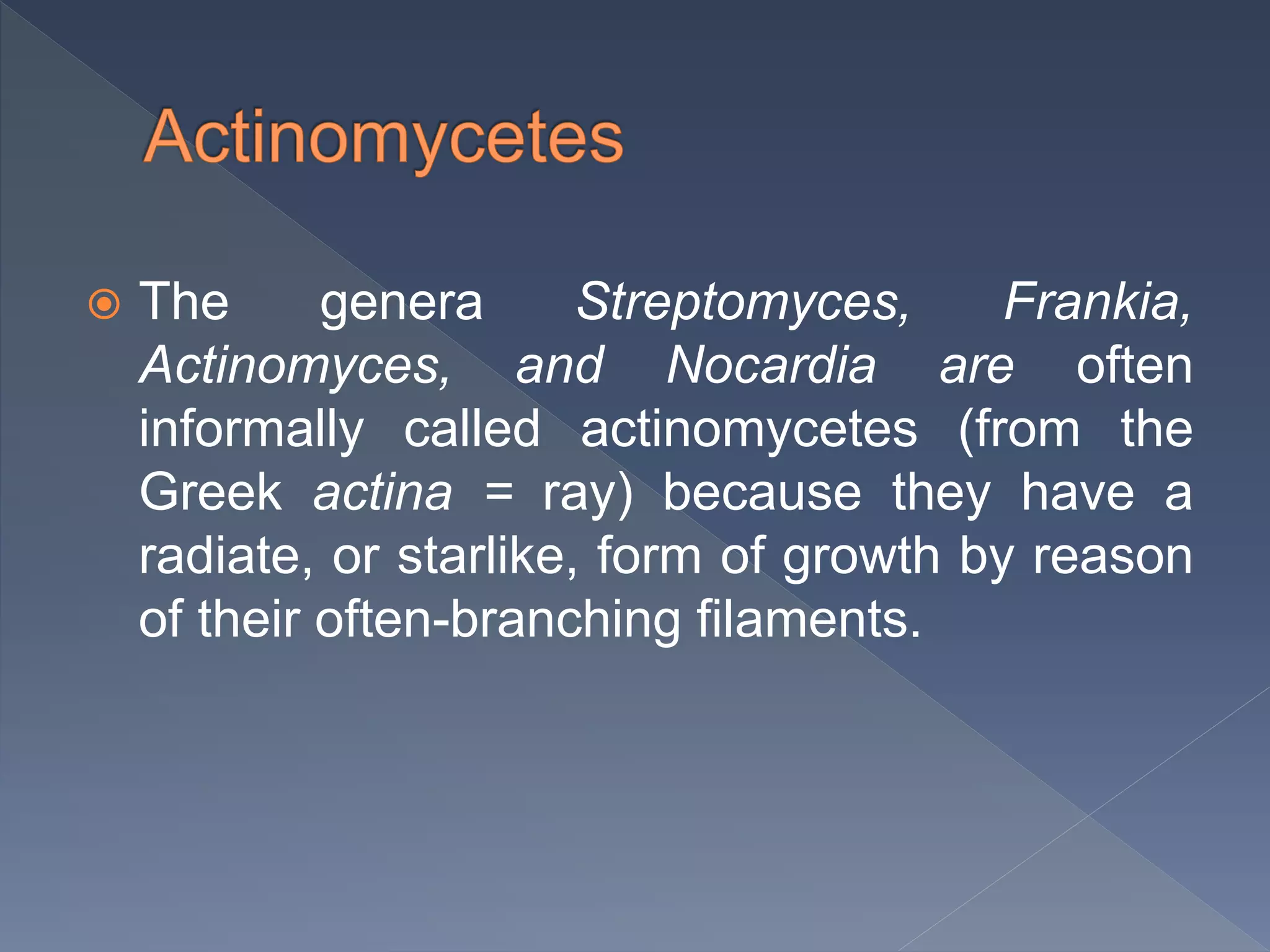  The genera Streptomyces, Frankia,
Actinomyces, and Nocardia are often
informally called actinomycetes (from the
Greek actina = ray) because they have a
radiate, or starlike, form of growth by reason
of their often-branching filaments.
 