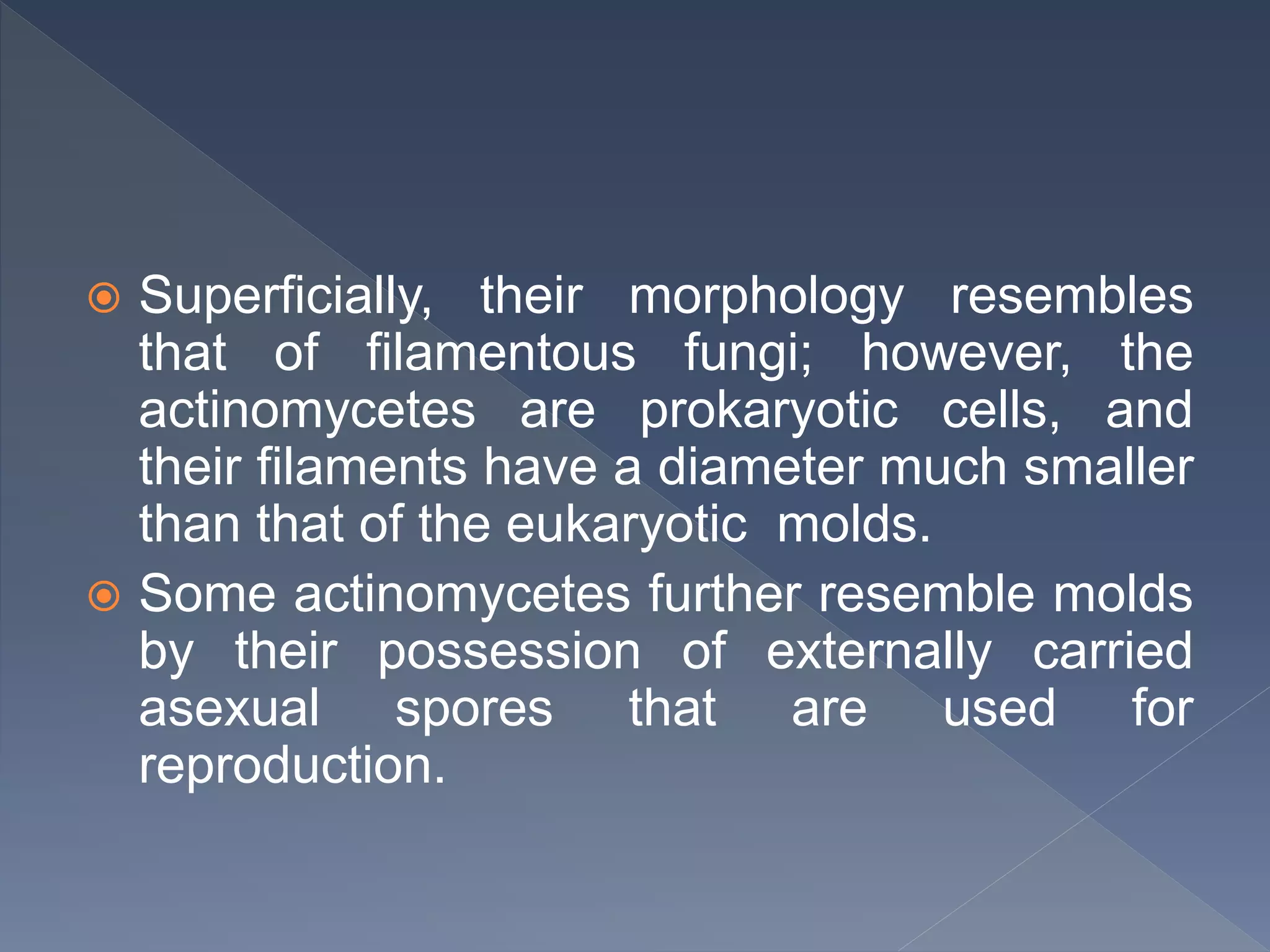  Superficially, their morphology resembles
that of filamentous fungi; however, the
actinomycetes are prokaryotic cells, and
their filaments have a diameter much smaller
than that of the eukaryotic molds.
 Some actinomycetes further resemble molds
by their possession of externally carried
asexual spores that are used for
reproduction.
 