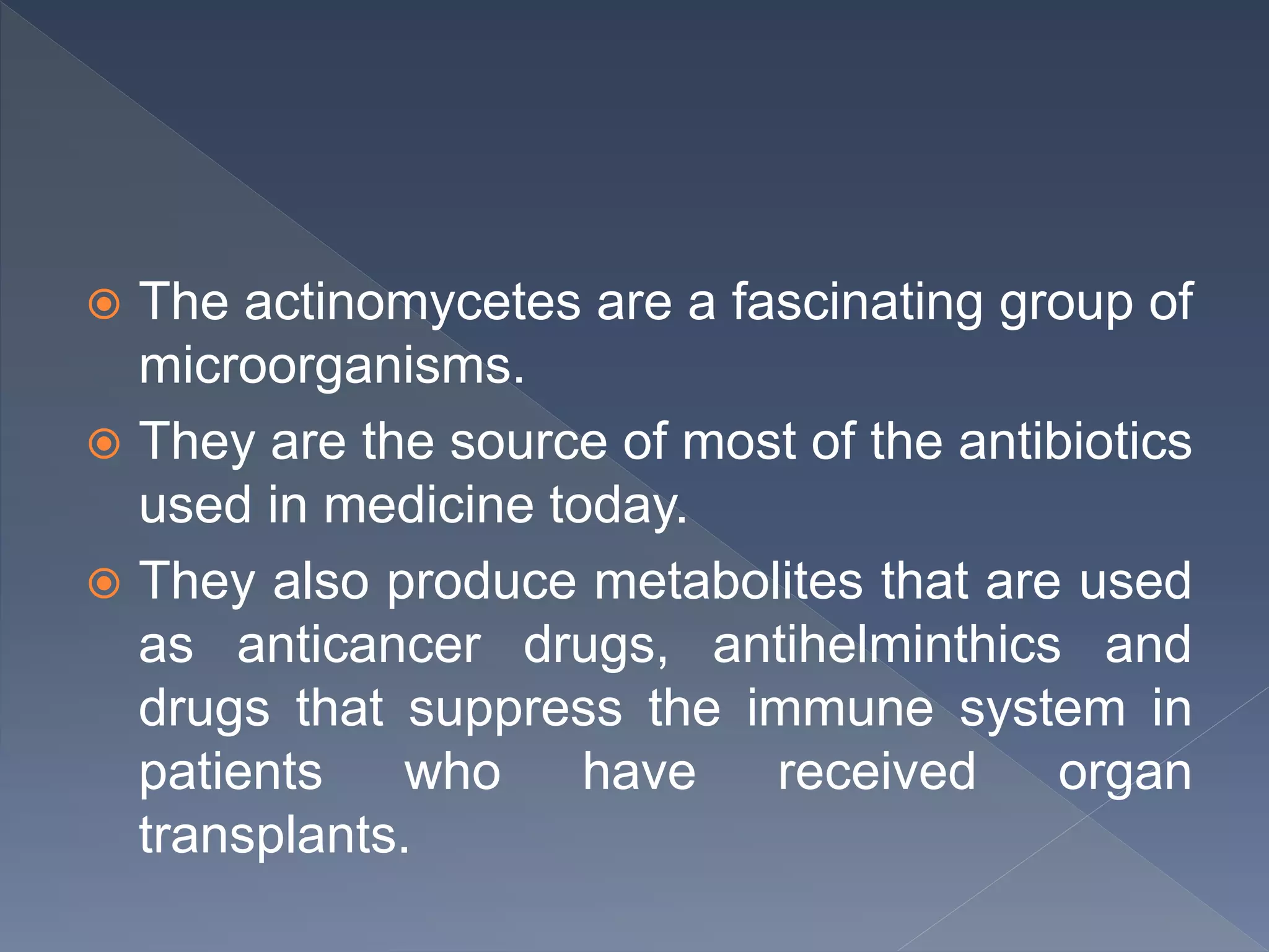 The actinomycetes are a fascinating group of
microorganisms.
 They are the source of most of the antibiotics
used in medicine today.
 They also produce metabolites that are used
as anticancer drugs, antihelminthics and
drugs that suppress the immune system in
patients who have received organ
transplants.
 