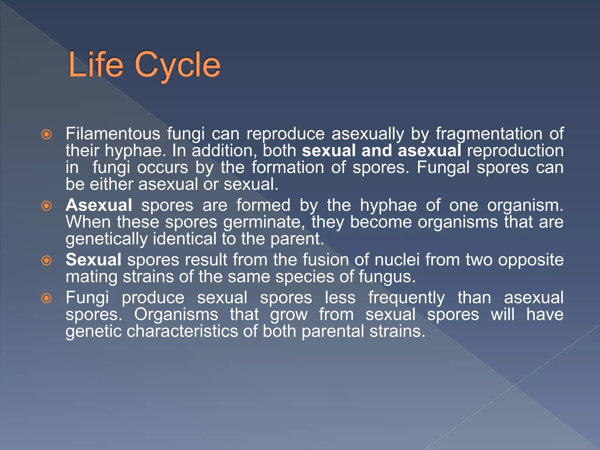  Filamentous fungi can reproduce asexually by fragmentation of
their hyphae. In addition, both sexual and asexual reproduction
in fungi occurs by the formation of spores. Fungal spores can
be either asexual or sexual.
 Asexual spores are formed by the hyphae of one organism.
When these spores germinate, they become organisms that are
genetically identical to the parent.
 Sexual spores result from the fusion of nuclei from two opposite
mating strains of the same species of fungus.
 Fungi produce sexual spores less frequently than asexual
spores. Organisms that grow from sexual spores will have
genetic characteristics of both parental strains.
 
