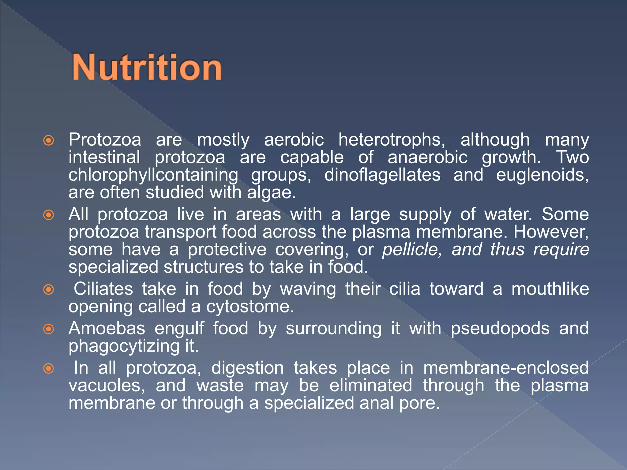  Protozoa are mostly aerobic heterotrophs, although many
intestinal protozoa are capable of anaerobic growth. Two
chlorophyllcontaining groups, dinoflagellates and euglenoids,
are often studied with algae.
 All protozoa live in areas with a large supply of water. Some
protozoa transport food across the plasma membrane. However,
some have a protective covering, or pellicle, and thus require
specialized structures to take in food.
 Ciliates take in food by waving their cilia toward a mouthlike
opening called a cytostome.
 Amoebas engulf food by surrounding it with pseudopods and
phagocytizing it.
 In all protozoa, digestion takes place in membrane-enclosed
vacuoles, and waste may be eliminated through the plasma
membrane or through a specialized anal pore.
 