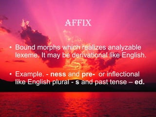 Affix Bound morphs which reali z es analyzable lexeme. It may be derivational like English. Example. -  ness  and  pre-  or inflectional like English plural -  s  and past tense –  ed. 