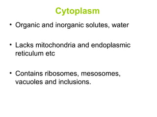 Cytoplasm   Organic and inorganic solutes, water Lacks mitochondria and endoplasmic reticulum etc Contains ribosomes, mesosomes, vacuoles and inclusions. 