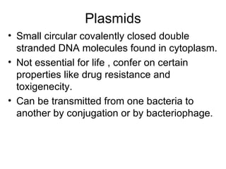Plasmids Small circular covalently closed double stranded DNA molecules found in cytoplasm. Not essential for life , confer on certain properties like drug resistance and toxigenecity. Can be transmitted from one bacteria to another by conjugation or by bacteriophage. 