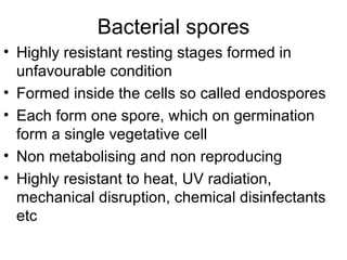 Bacterial spores Highly resistant resting stages formed in unfavourable condition Formed inside the cells so called endospores Each form one spore, which on germination form a single vegetative cell Non metabolising and non reproducing Highly resistant to heat, UV radiation, mechanical disruption, chemical disinfectants etc 