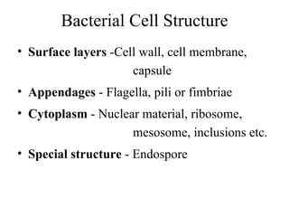 Bacterial Cell Structure Surface layers  -Cell wall, cell membrane,  capsule Appendages  - Flagella, pili or fimbriae Cytoplasm  - Nuclear material, ribosome,  mesosome, inclusions etc. Special structure  - Endospore 