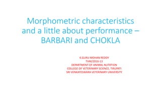 Morphometric characteristics
and a little about performance –
BARBARI and CHOKLA
K.GURU MOHAN REDDY
TVM/2016-13
DEPARTMENT OF ANIMAL NUTRTION
COLLEGE OF VETERINARY SCIENCE, TIRUPATI
SRI VENKATESWARA VETERINARY UNIVERSITY
 