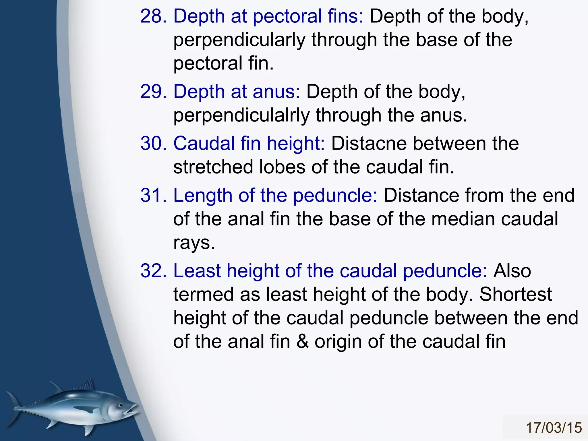 Morphometric measurement of fishes | PPT