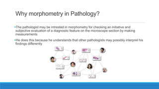 Why morphometry in Pathology?
The pathologist may be intrested in morphometry for checking an initiative and
subjective evaluation of a diagnostic feature on the microscope section by making
measurements
He does this because he understands that other pathologists may possibly interpret his
findings differently
 