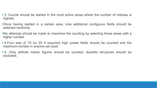  3. Counts should be started in the most active areas where the number of mitoses is
highest.
Once having started in a certain area, nine additional contiguous fields should be
selected randomly.
No attempts should be made to maximize the counting by selecting those areas with a
higher number
 4.Four sets of 10 (or 25 if required) high power fields should be counted and the
maximum number in anyone set used.
 5. Only definite mitotic figures should be counted, doubtful structures should be
excluded.
 