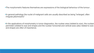 The morphometric features themselves are expressions of the biological behaviour of the tumour .
In general pathology the nuclei of malignant cells are usually described as being "enlarged, often
irregular,pleomorphic”
In the applications of morphometry in tumor diagnostics, the nuclear area (related to size), the nuclear
perimeter (related to size and shape) and the nuclear horizontal and vertical axes (also related to size
and shape) are often of importance.
 