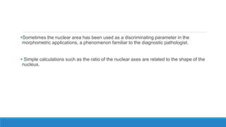 Sometimes the nuclear area has been used as a discriminating parameter in the
morphometric applications, a phenomenon familiar to the diagnostic pathologist.
 Simple calculations such as the ratio of the nuclear axes are related to the shape of the
nucleus.
 