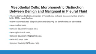 Mesothelial Cells: Morphometric Distinction
Between Benign and Malignant in Pleural Fluid
The nuclear and cytoplasmic areas of mesothelial cells are measured with a graphic
tablet 1000x magnification.
From each measured cell population the following six parameters are calculated:
mean nuclear area
standard deviation nuclear area,
mean cytoplasmic area,
standard deviation cytoplasmic area,
mean N/C area ratio
standard deviation N/C area ratio.
 